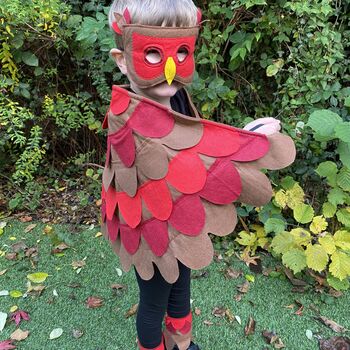 Red Robin Bird Costume For Kids And Adults, 5 of 10