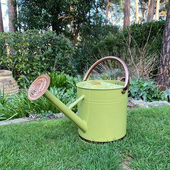 Lemon And Lime Green And Copper Trim Watering Can Duo, 6 of 9
