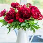 Fresh Handmade Red Peonies Bouquet, thumbnail 1 of 4