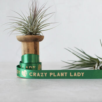 Ribbon, Crazy Plant Lady, 6 of 6