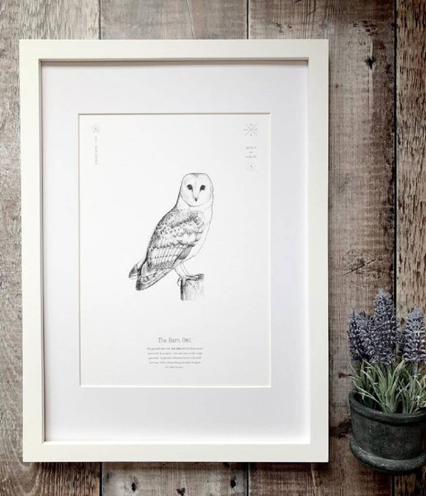 Barn Owl Print By Creature Candy | notonthehighstreet.com