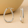 Large Sterling Silver Oval Hoop Earrings, thumbnail 1 of 4
