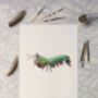 Peacock Mantis Shrimp Giclée Art Print, thumbnail 2 of 3