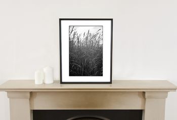 The Wild Grasses, Suffolk Photographic Art Print, 2 of 4