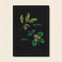 Botanical Art Postcard Pack, thumbnail 6 of 7