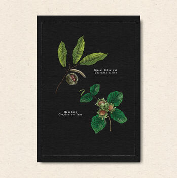Botanical Art Postcard Pack, 6 of 7