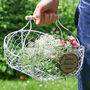 Personalised Wire Garden Flower Basket, thumbnail 8 of 11
