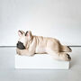 Sleeping French Bulldog Light Beige, thumbnail 2 of 11