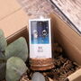 Terrarium Bottle 'Best Wishes' Star Earrings, thumbnail 1 of 6