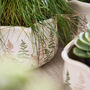 Varen Set Of Three Fern Planters, thumbnail 5 of 5