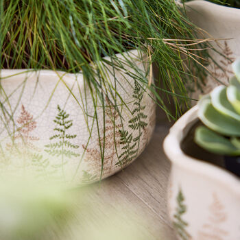 Varen Set Of Three Fern Planters, 5 of 5