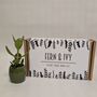 Plant Your Own Succulent Kit, thumbnail 10 of 12