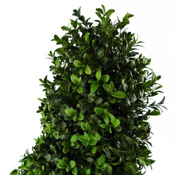 Outdoor Uv Resistant 5ft Pair Spiral Artificial Trees, 5 of 5