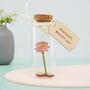 Miniature Flower Valentine's Day Message Bottle Gift, thumbnail 9 of 9