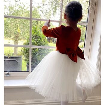 Burnt Orange Long Sleeve Velvet Tutu Dress, 5 of 8