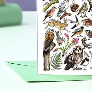 Moorland Wildlife Of Britain Greeting Card, 7 of 8