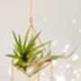 'Salute To The Sun' Crystal Airplant Suncatcher 40cm, thumbnail 2 of 3