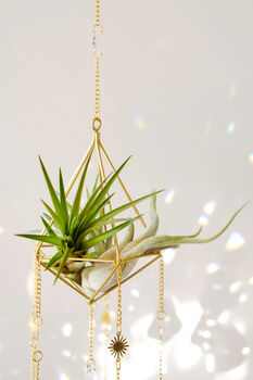 'Salute To The Sun' Crystal Airplant Suncatcher 40cm, 2 of 3