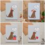 Chocolate Labrador Dog Walking Socks, thumbnail 11 of 12