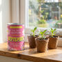 Personalised September Grow Your Own Flower Gift, thumbnail 3 of 4