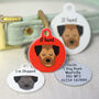Border Terrier Personalised Dog ID Tag, thumbnail 10 of 12