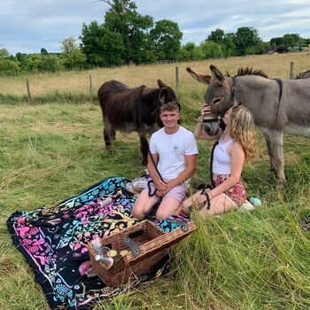 Meet The Donkeys Experience With Picnic For Two, 3 of 9