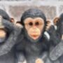 See, Hear, Speak No Evil Monkeys Figurine Ornament, thumbnail 6 of 12