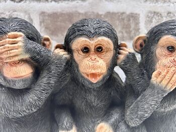 See, Hear, Speak No Evil Monkeys Figurine Ornament, 6 of 12