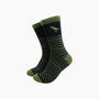 Embroidered T Rex Wavy Striped Combed Cotton Socks In Black/Green, thumbnail 1 of 4
