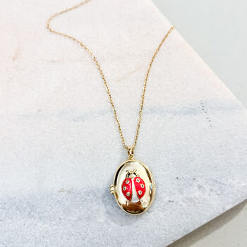 Charming Ladybird Locket Necklace, 2 of 4