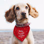Personalised Too Cute For The Naughty List Dog Bandana, thumbnail 1 of 4