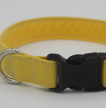 Yellow Dog Collar, 2 of 10