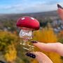Christmas Clip On Toadstool Decoration Set, thumbnail 4 of 5