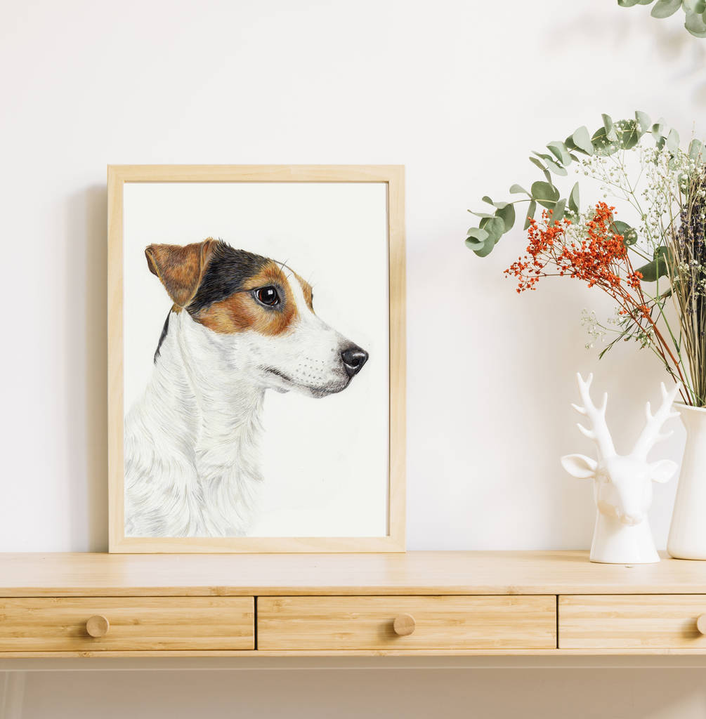 Jack Russell Terrier Art Print By Rebekah Marshall Artist & Illustrator ...