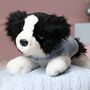 Personalised Keel Border Collie Puppy With Coat, thumbnail 2 of 5