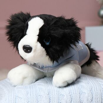 Personalised Keel Border Collie Puppy With Coat, 2 of 5