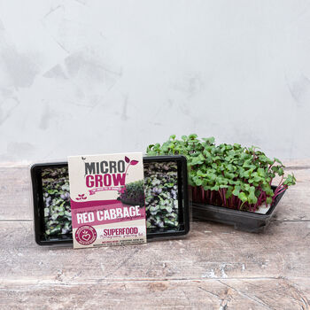 Micro Grow Selection Box, 3 of 10