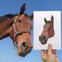 Personalised Horse Lover Face Portrait Print, thumbnail 1 of 11