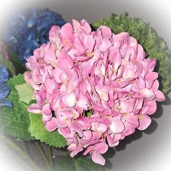Faux Flowers Stems Hydrangea With Leaf, 2 of 3