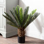 Faux Potted Cycad Palm Tree Plant, thumbnail 1 of 7