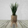 Ridged Composite Planter With Stand Large, thumbnail 7 of 8
