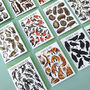 Wildlife Collective Nouns Greetings Card Pack, thumbnail 10 of 11