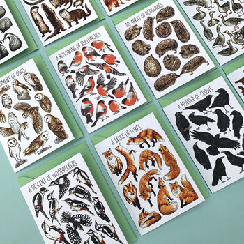 Wildlife Collective Nouns Greetings Card Pack, 10 of 11