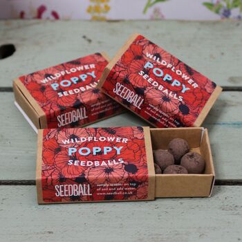 Three Wildflower Poppy Seed Boxes – Bee Friendly Christmas Gift For Gardeners And Nature Lovers, 2 of 11