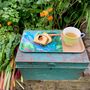 The Gardener's Small Cork Tray Chard, thumbnail 2 of 5