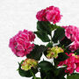 Artificial Hydrangea Flowering Plant Pink, thumbnail 5 of 5
