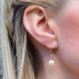 Rose Gold Plated Ball Lever Back Earrings, thumbnail 2 of 4