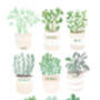 Herb Plant Pot Print, thumbnail 2 of 3