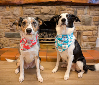 Pink Love Bug Bear Dog Bandana, 8 of 8