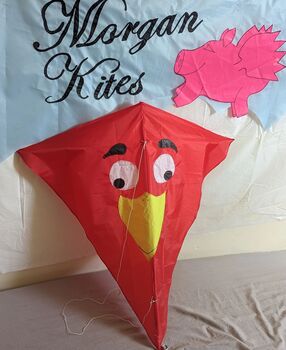 Wacky Bird Kite, 3 of 7